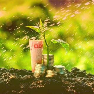 时隔两个多月再现上市银行出手稳定股价