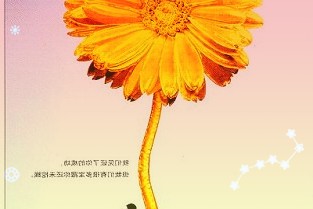 两市ETF两融余额较上一日减少3.97亿元环比增加437.81万元